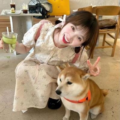 黑影家族